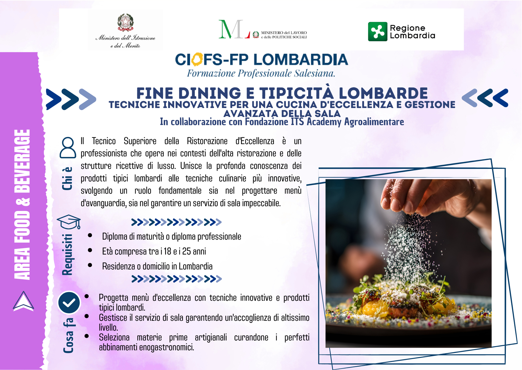 In-apprendistato-art-43-11-1